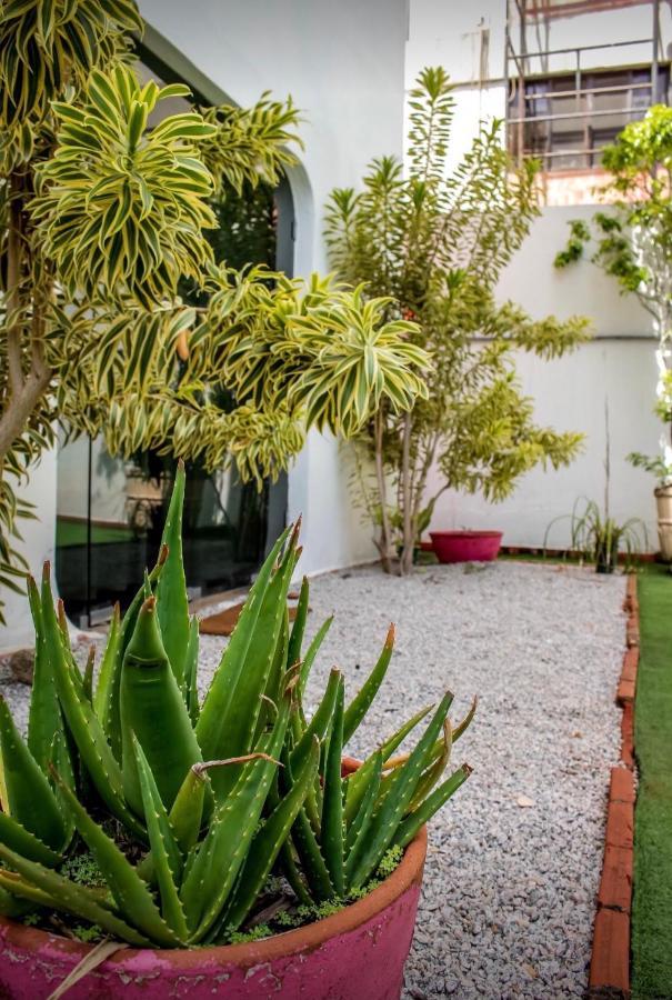 Pousada Paradiseグァルジャー エクステリア 写真